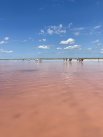 Бурлинское (розовое) озеро
