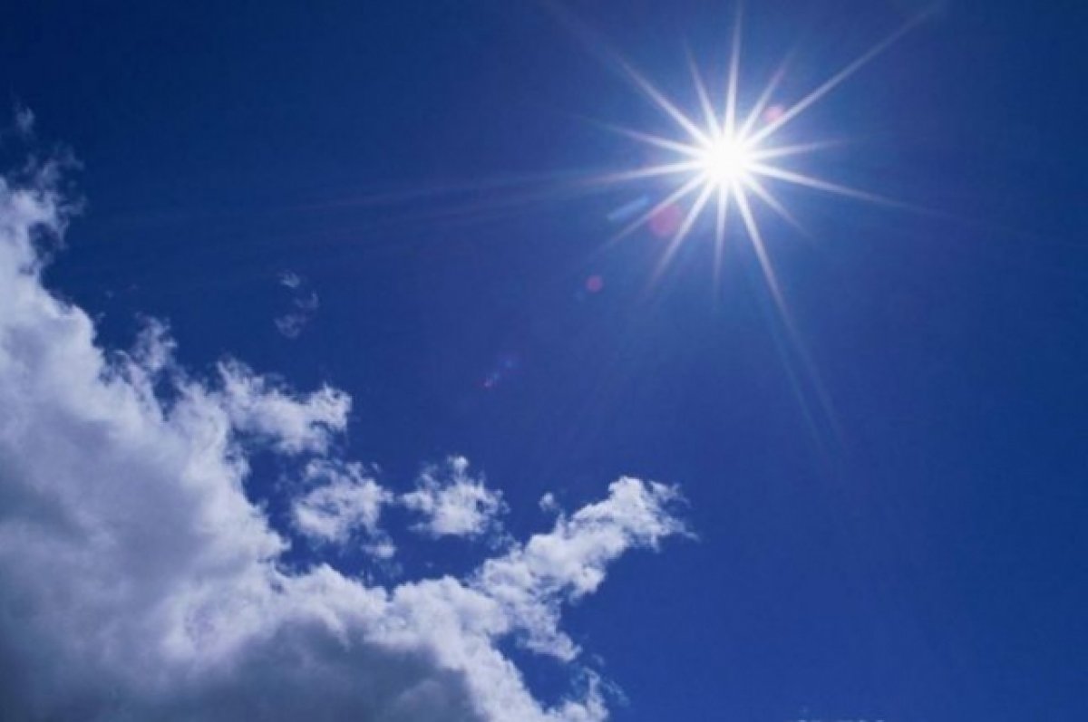 В выходные 5 и 6 августа в Брянской области будет солнечно и жарко