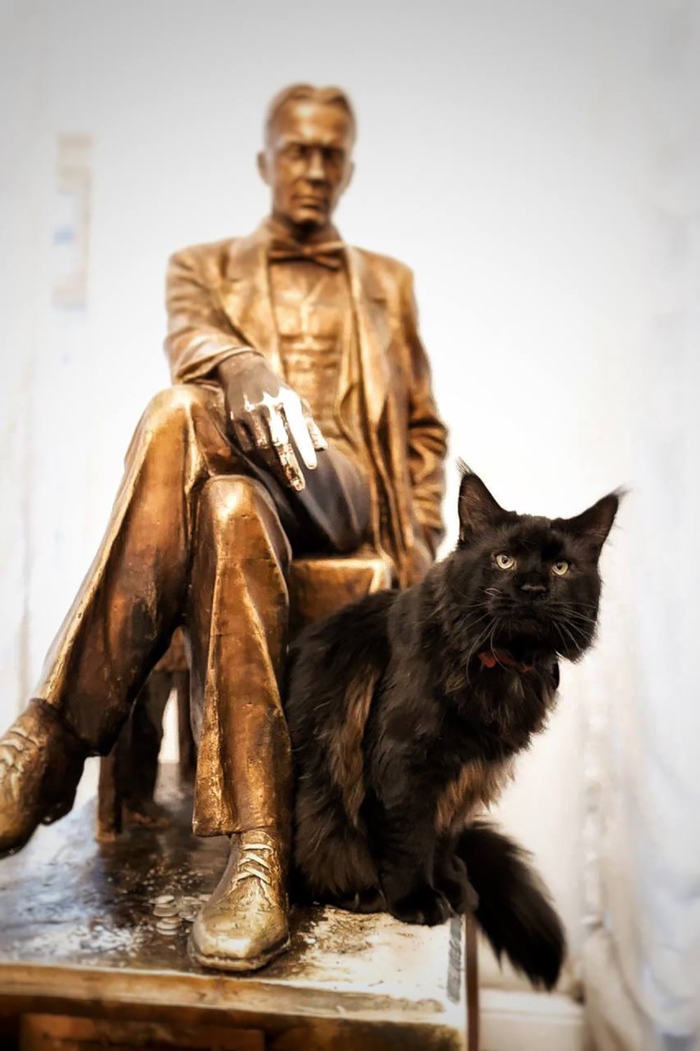 Завсегдатаям «Булгаковского Дома» в Москве хорошо знаком его талисман – черный кот Бегемот, старожил и сотрудник музея.