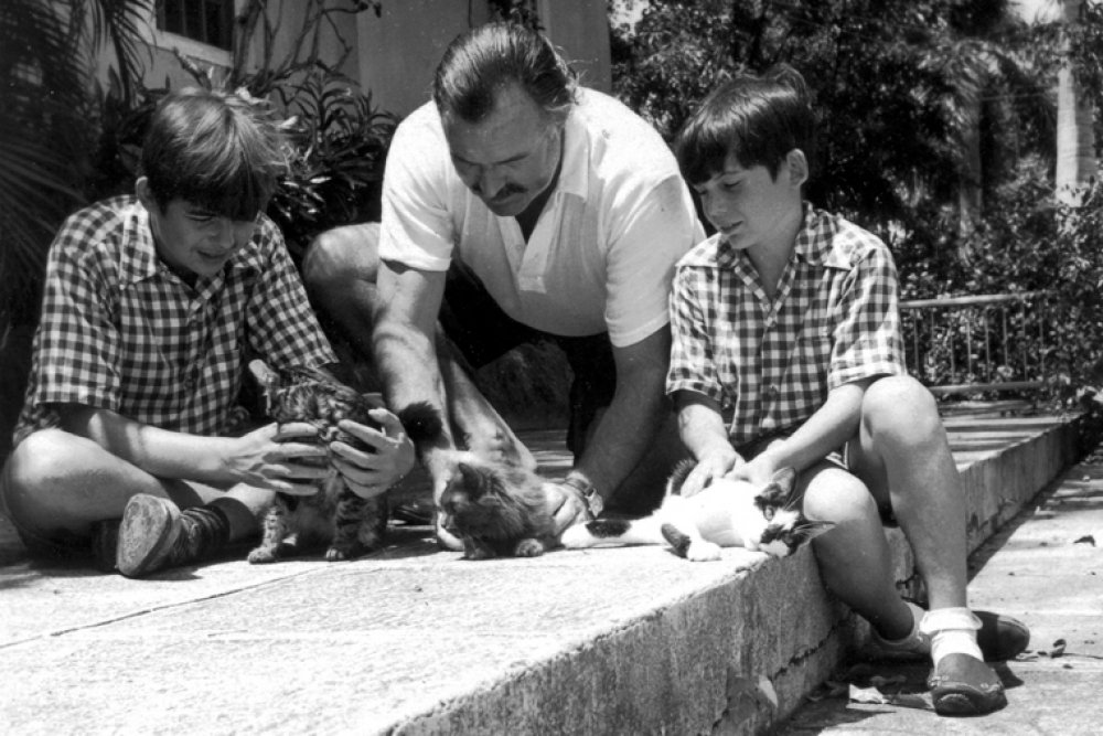 В 1930-х годах капитан дальнего плавания подарил автору Эрнесту Хемингуэю полидактильного кота. В тот день начался роман Хемингуэя с шестипалыми кошками: он собирал полидактилей в своем доме на Ки-Уэсте.