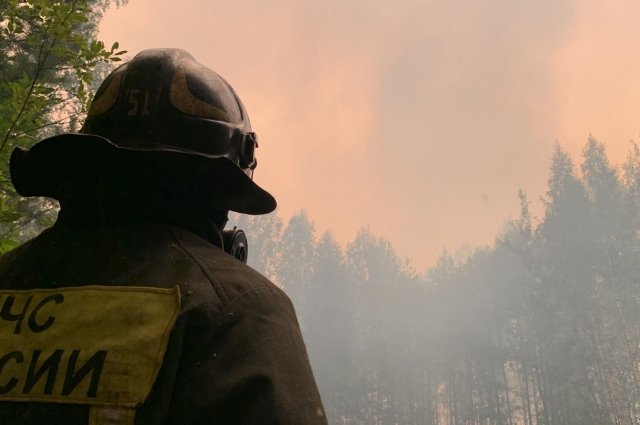Повторятся ли пожары прошлого августа в этом году, зависит не только от работы чиновников и спасателей, но и от каждого из нас.