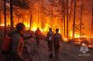 Страшные кадры лесных пожаров в Якутии облетели федеральные каналы. 