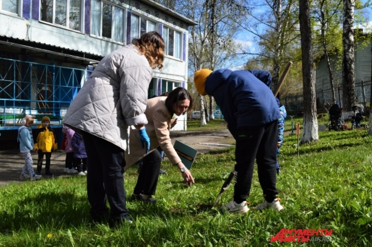 Поделки из дерева - фото идей самодельных изделий из дерева для сада, интерьера, детей