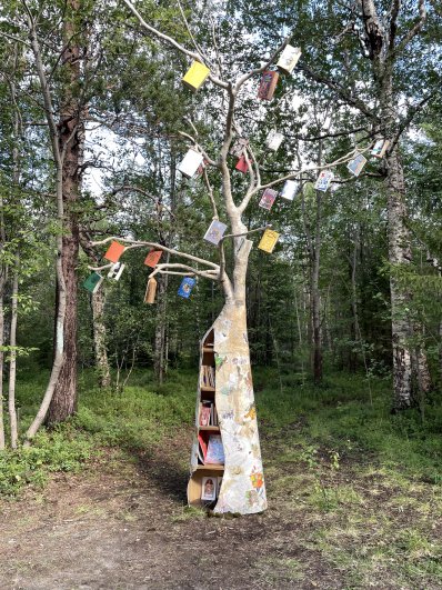 Книжное дерево местных художников.