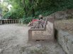 К 320-летию Таганрога на Каменной лестнице установили новые скамейки.