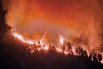 Жителей острова Тенерифе эвакуируют из-за лесных пожаров0