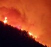 Жителей острова Тенерифе эвакуируют из-за лесных пожаров6