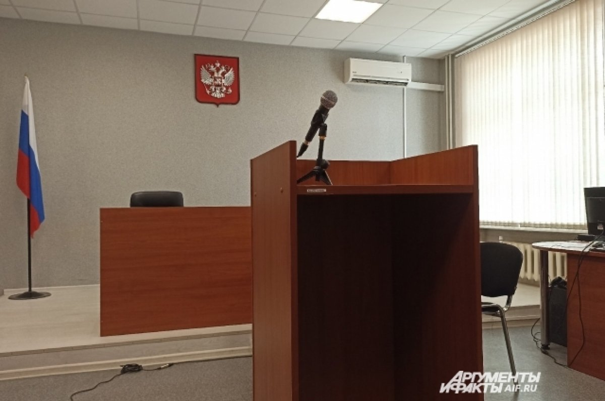 Суд в Ижевске арестовал мужчину, обвиняемого в домогательствах к школьнице