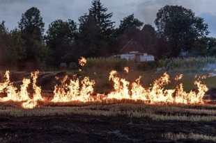 В Оренбуржье объявлен высший класс пожароопасности
