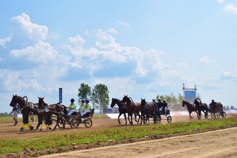 Тройка таруса