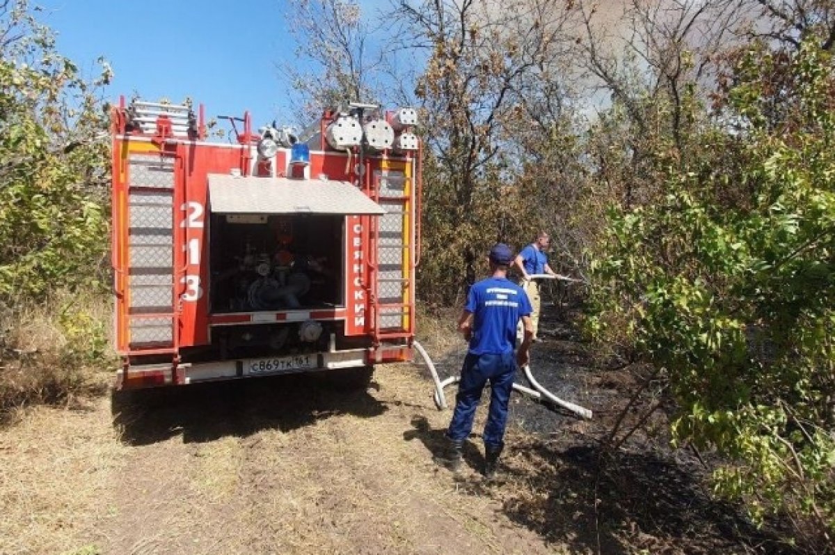 В Ростовской области вспыхнул крупный лесной пожар на площади 125 га