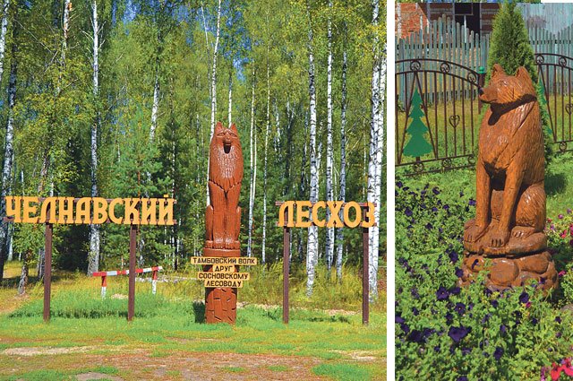«Тамбовского волка» как символ региона можно встретить и на территории, и при входе в контору лесхоза.