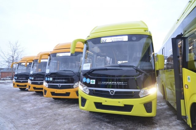 Новые автобусы раздадут 16 муниципалитетам