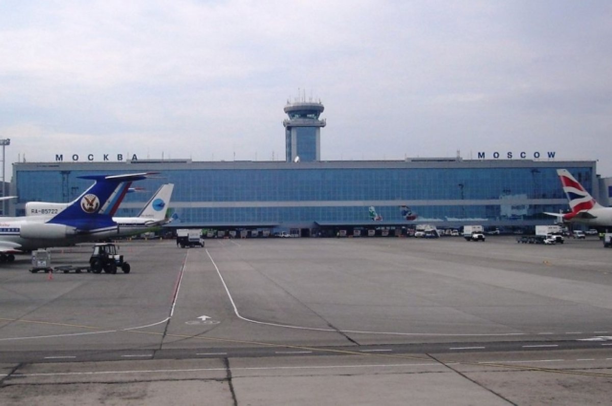 Столичные аэропорты Внуково и Домодедово вернулись к штатной работе