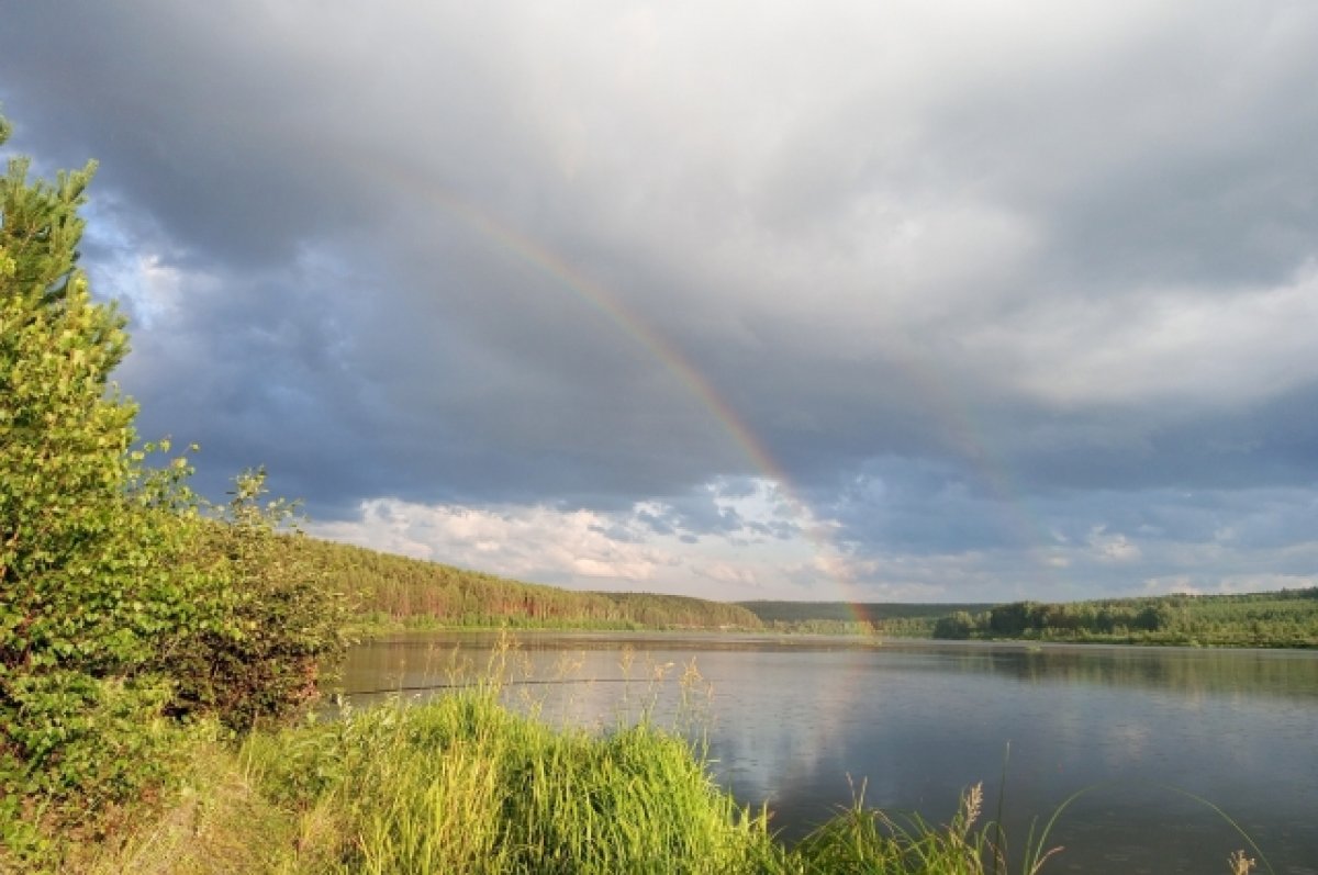 Волгоград сливы телеграмм фото 72