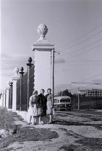 Кованую решетку вдоль парка построили в 1962 году.