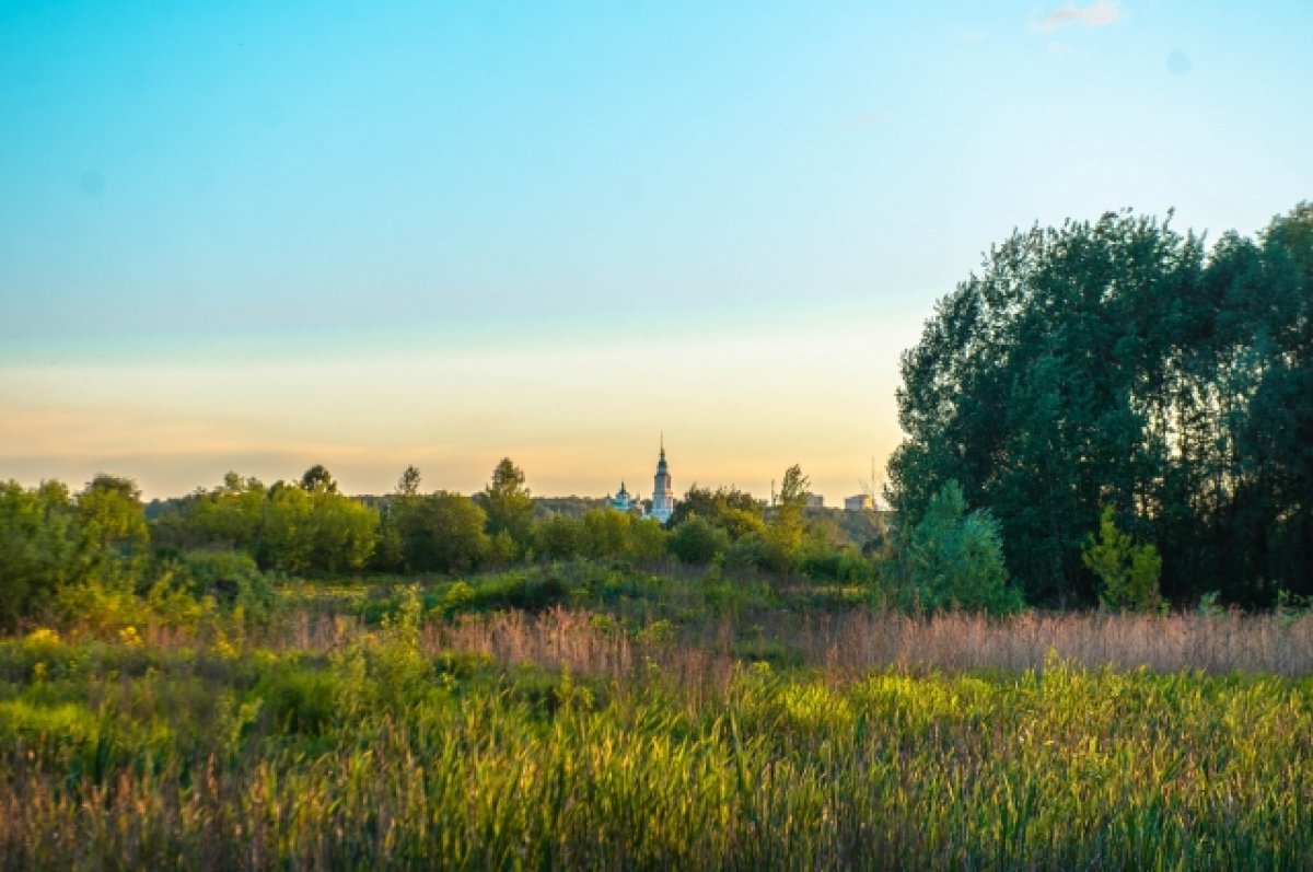 Село тульское