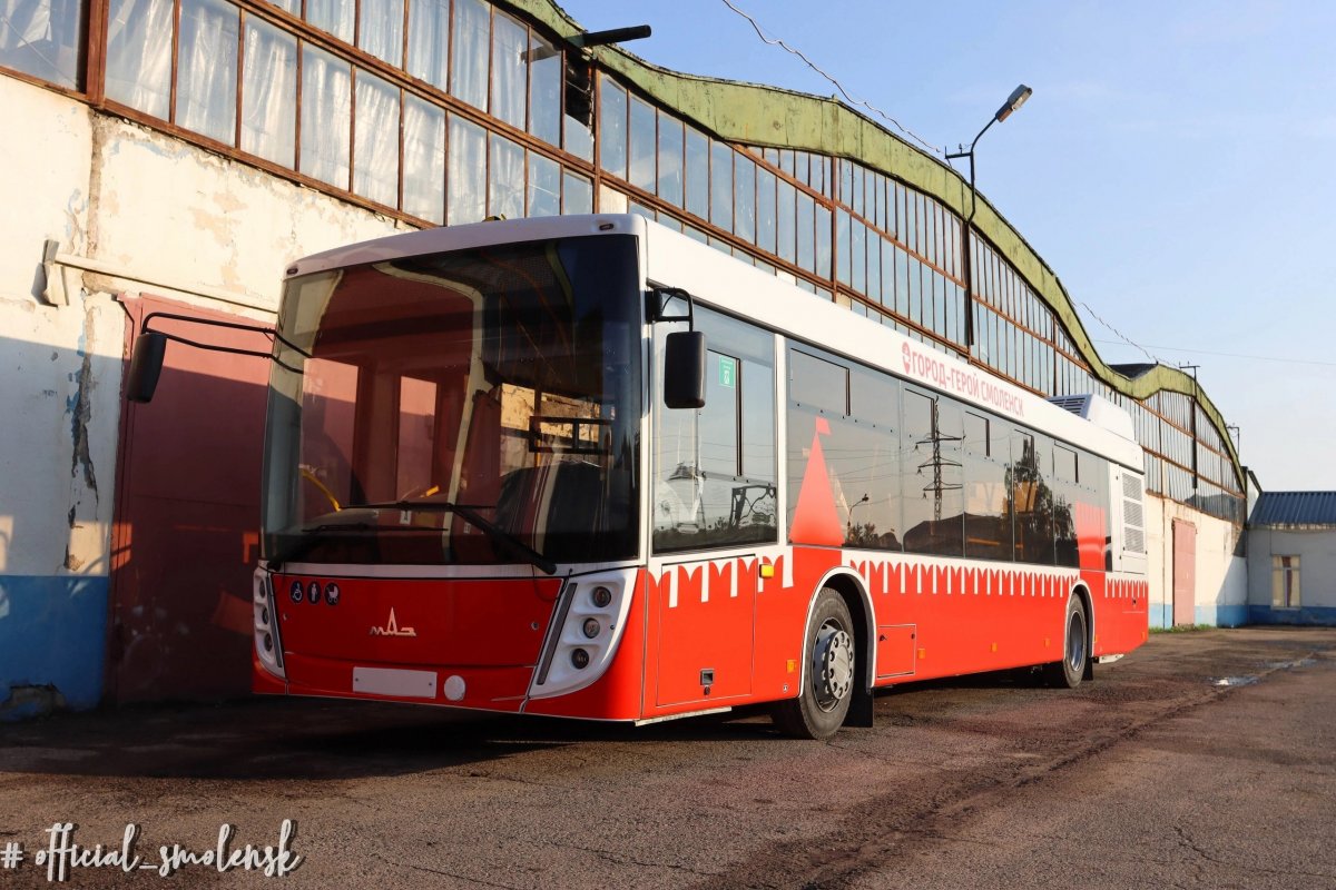 Новые автобусы привозят в «Автоколонну – 1308» в Смоленске | АиФ Смоленск