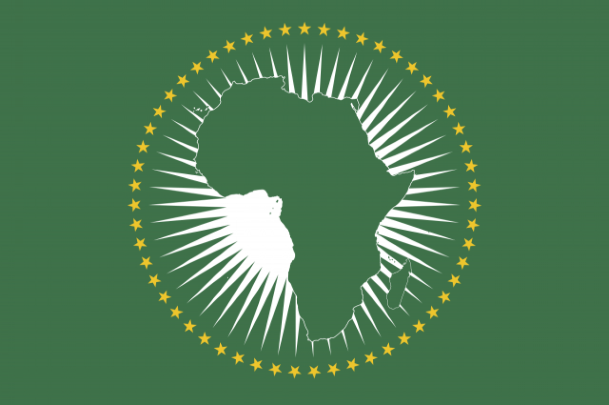Совет Африканского союза приостановил деятельность Габона в организации