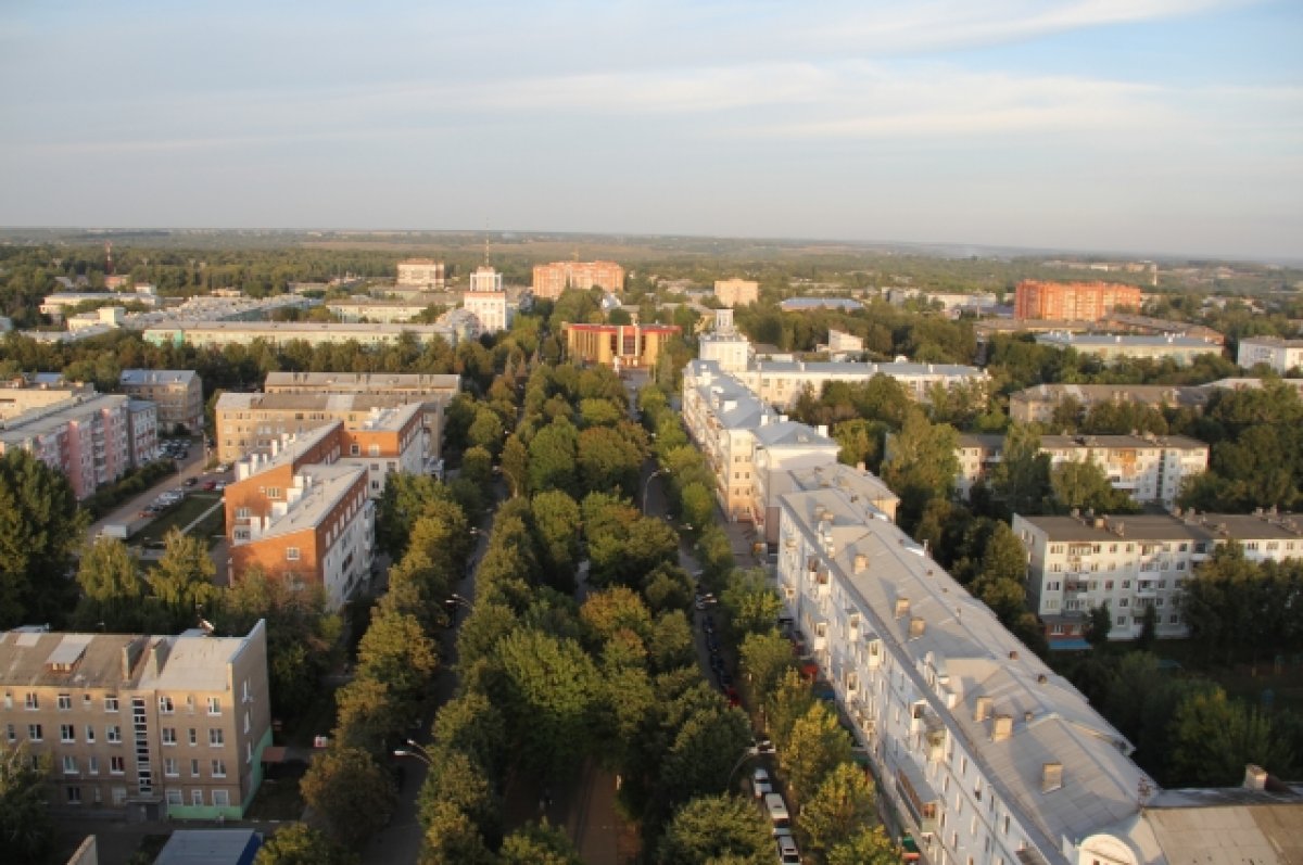 В Новомосковске 5 сентября выберут главу администрации | АиФ Тула