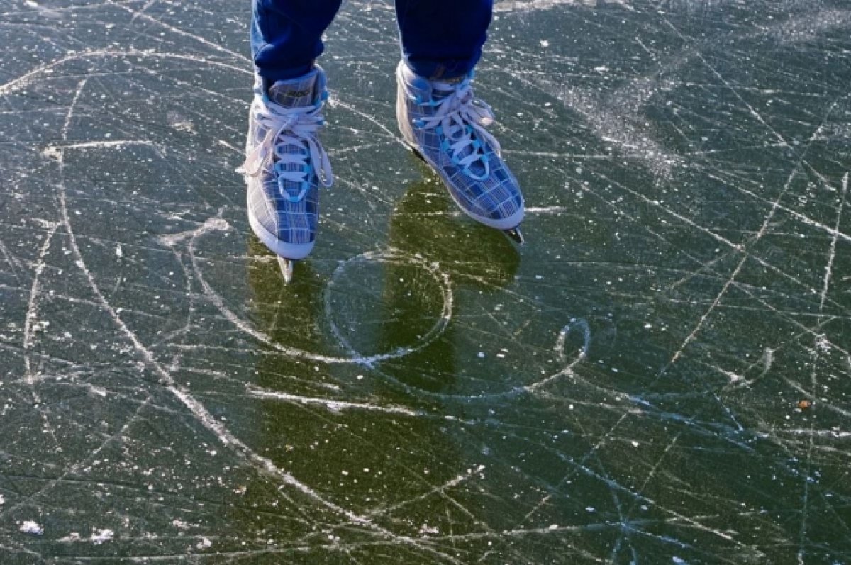 Жители Новоалтайска просят Терентьева помочь сохранить хоккейную коробку