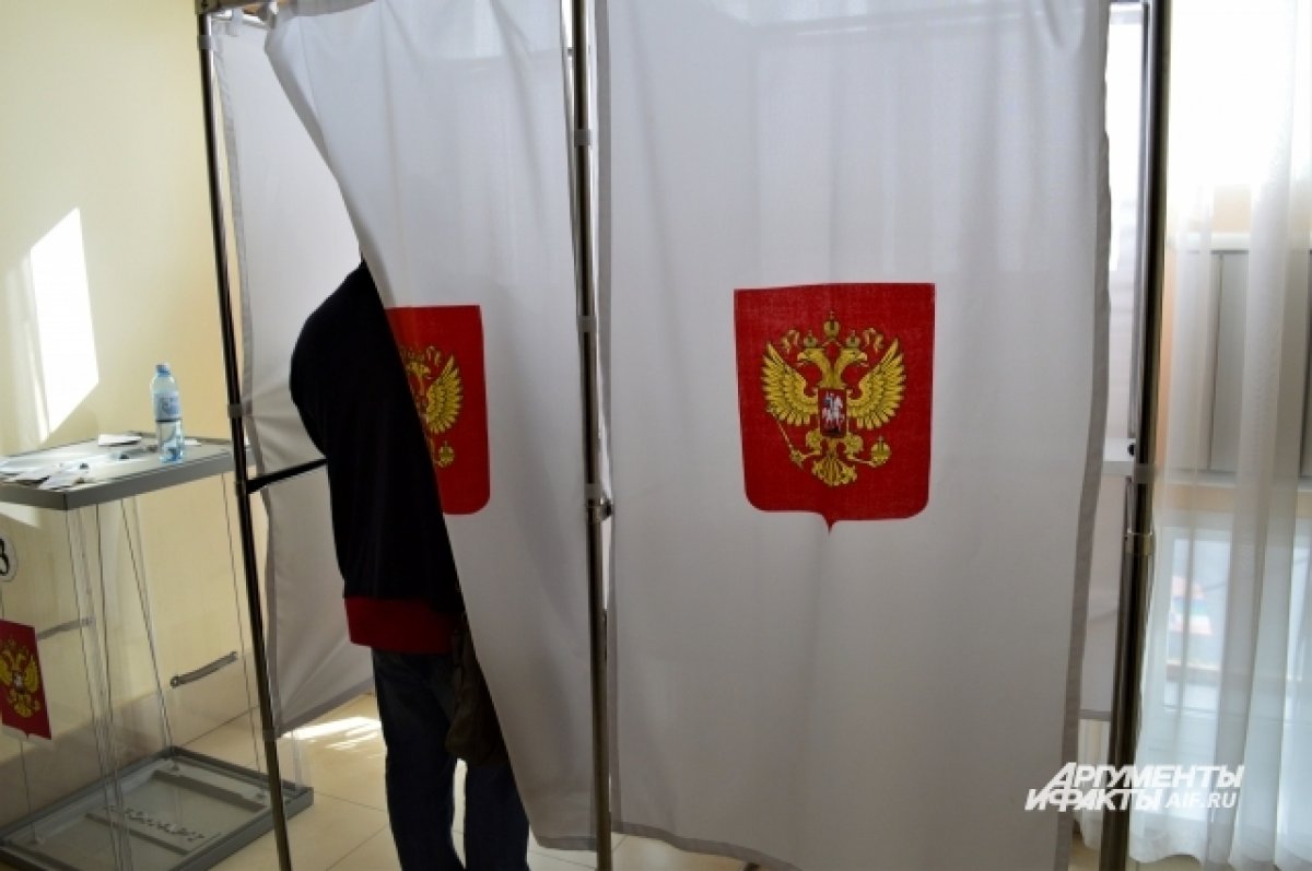 Явка на выборах главы Алтайского края за 8 сентября составила 8,69%