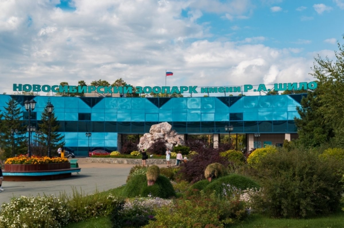 Новосибирский зоопарк имени р а шило. Новосибирский зоопарк Novosibirsk Zoo. Новосибирский зоопарк достопримечательности Новосибирска. Зоопарк Новосибирск территория. Зоологический парк в Новосибирске.