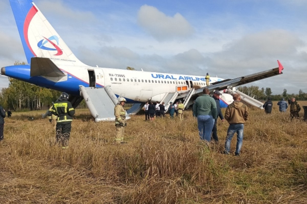 В авиакомпании рассказали, как получить компенсацию за рейс Сочи-Омск | АиФ  Омск