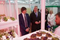 Министр просвещения и губернатор Ставрополья изучают растения в лаборатории естественных наук. 