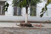 Улица Советская превращается из туристического центра в трущобы