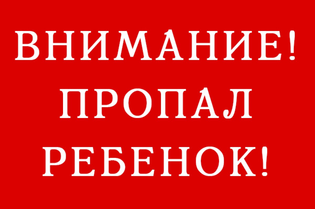 В Туве 11-летний ребёнок не вернулся домой после школы | АиФ Красноярск