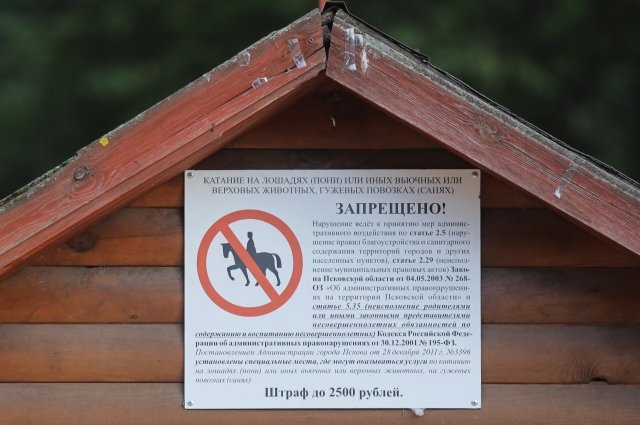 Катание на лошадях в Детском парке Пскова запрещено с 2014 года