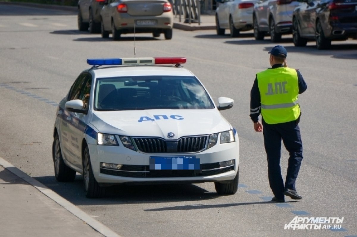 Омская ГИБДД взяла под опеку мальчика, который притворялся инспектором |  АиФ Омск