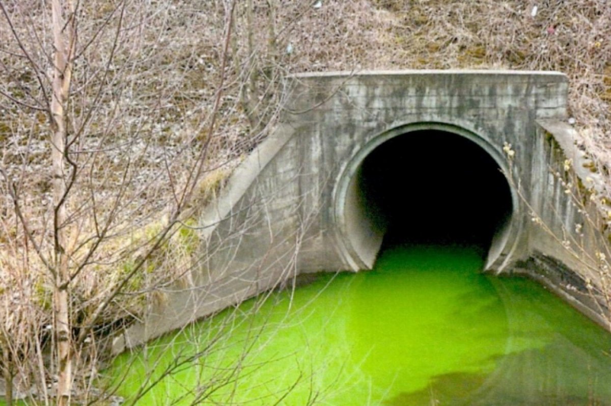 Ветврач назвал последствия окрашивания рек во Франции в зеленый цвет