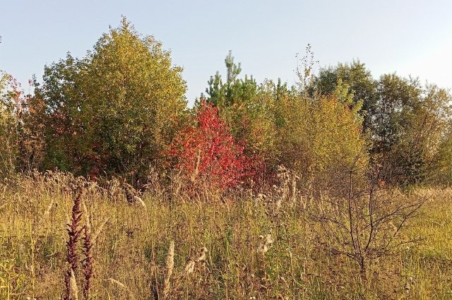 Бабье лето заканчвается.