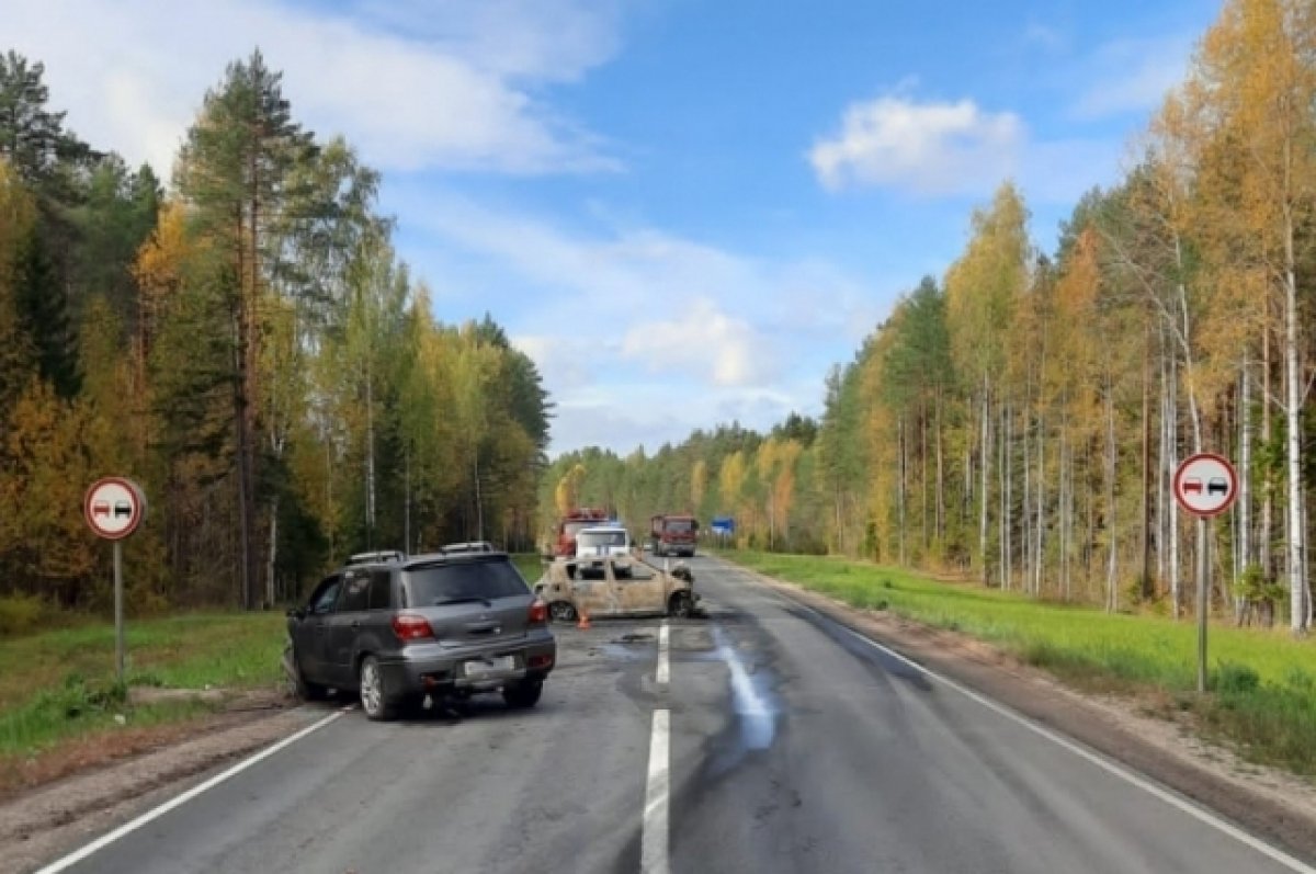 Водитель из Тулы может быть виновен в гибели пожилой архангельской автоледи  | АиФ Тула