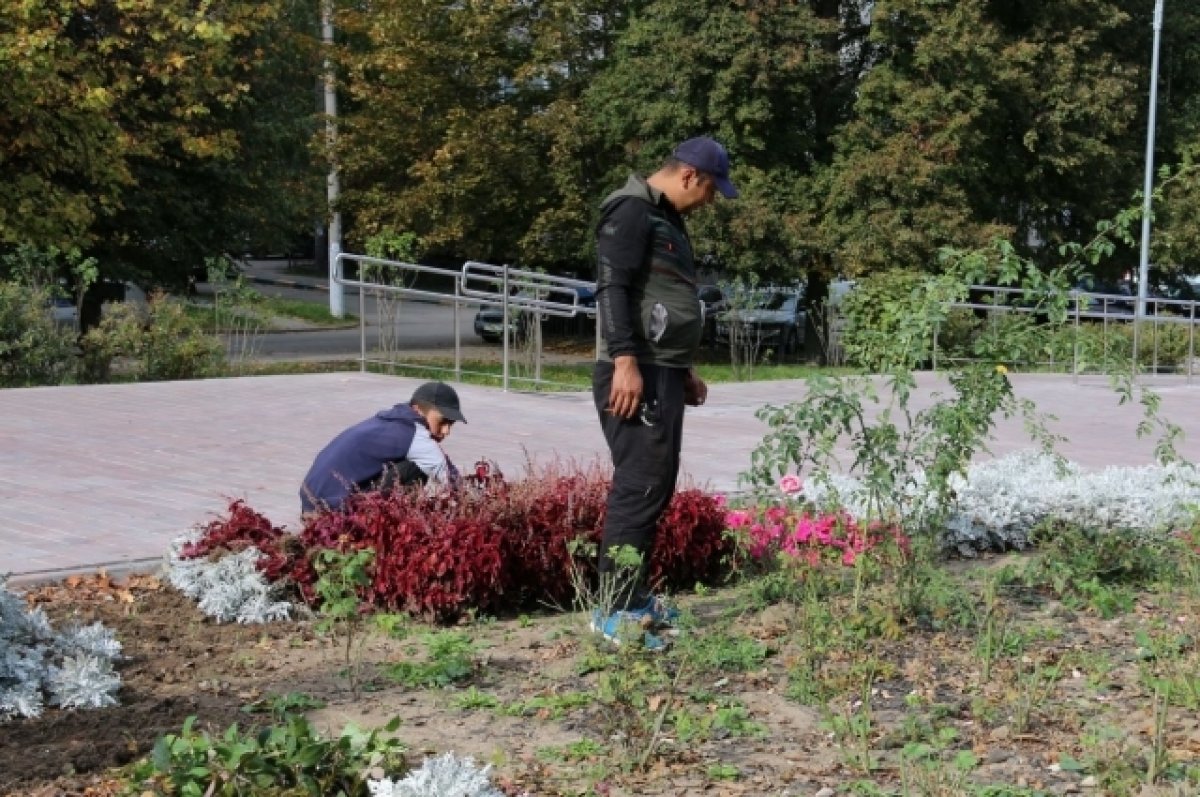 В Туле прошли уходные работы за растениями на Славянском бульваре | АиФ Тула