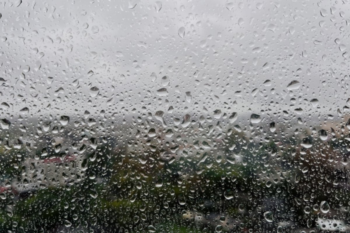 Синоптик Леус: к концу недели в Москву придут похолодание и дожди
