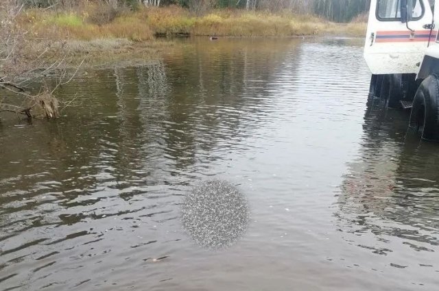 Утопленника нашли на берегу реки Ятрии.