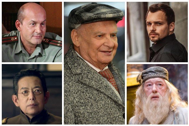 Вячеслав Гришечкин, Николай Добронравов, Алексей Янин, Александр Хван, Майкл Гэмбон. 