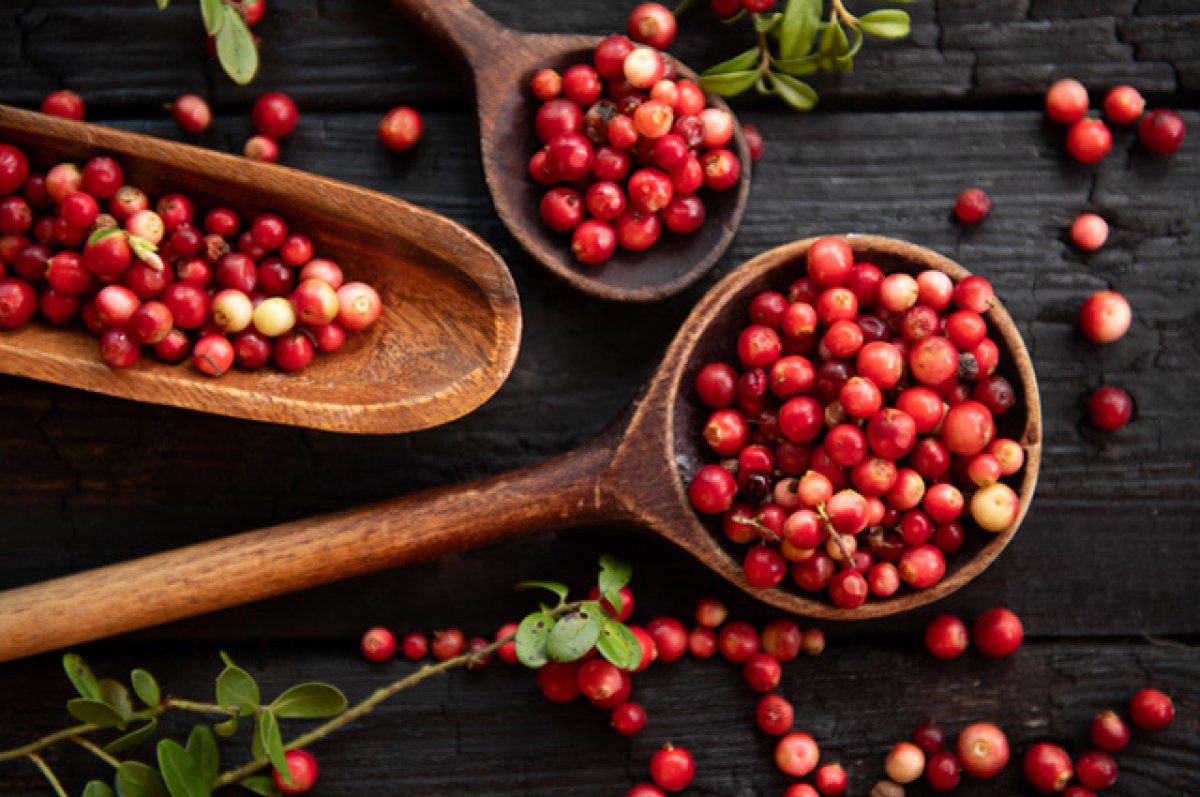 Осенние ягоды. Диетолог объяснила, в чем польза клюквы, облепихи и брусники  | Продукты и напитки | Кухня | Аргументы и Факты