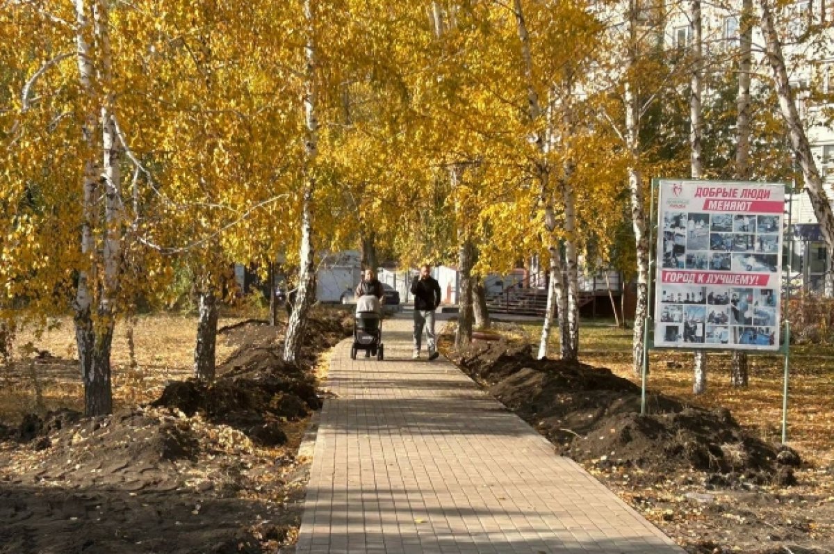 В районе улицы Гашека появится «Московский дворик по-омски» | АиФ Омск