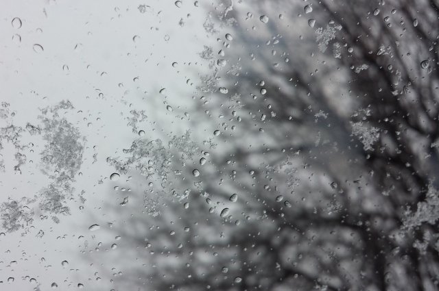 На неделе в Кировской области также ожидаются осадки в виде дождя со снегом.