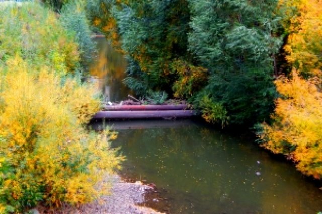 Многие замечают, что в последнее время вода в Исети стала более мутной.