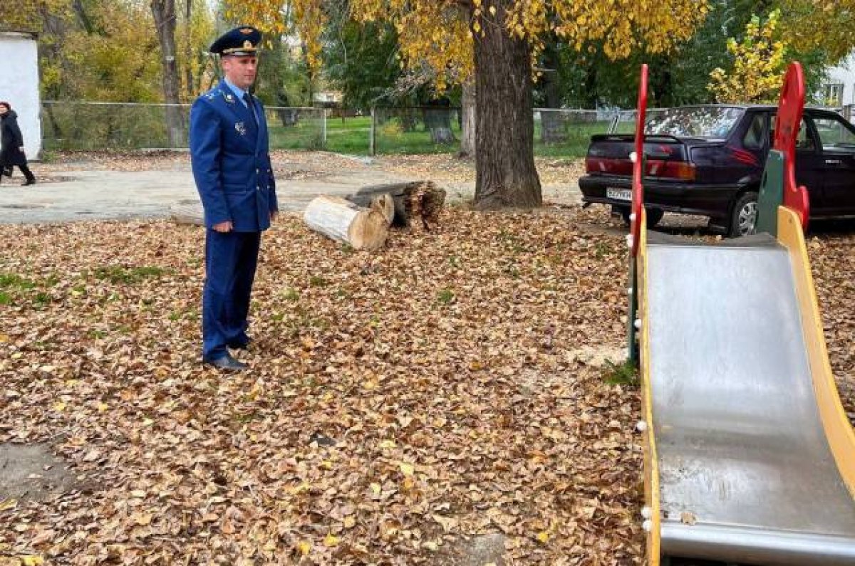 Упало дерево на кладбище кто должен убирать