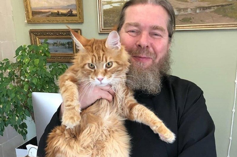 Домашний питомец митрополита Тихона, кот Владыка, стал звездой соцсетей, собрав тысячи подписчиков 