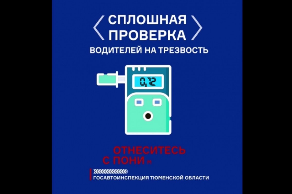 В Тюменской области пройдет сплошная проверка водителей на трезвость | АиФ  Тюмень