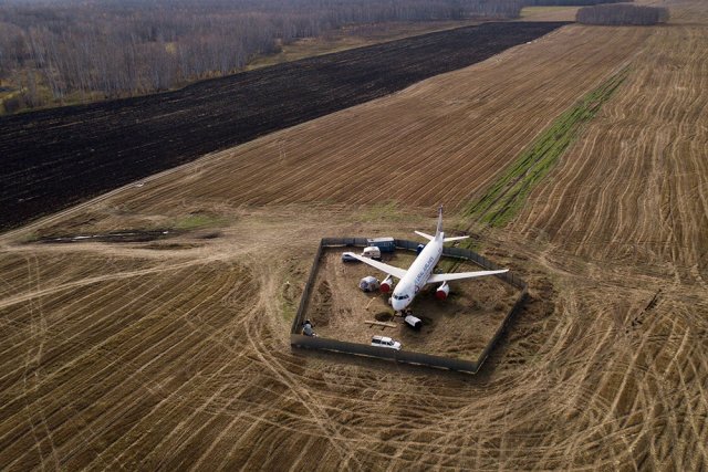Самолёт «Уральских авиалиний» в поле в Новосибирской области
