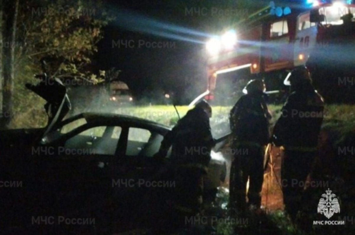 На дороге в Гордеевском районе Брянщины ночью загорелся автомобиль