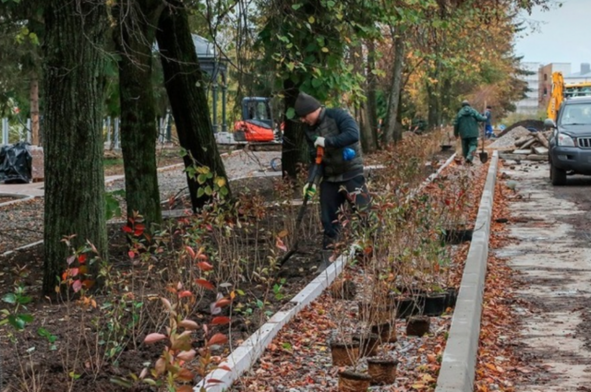 В Рыбинске продолжается благоустройство улицы Бульварная | АиФ Ярославль